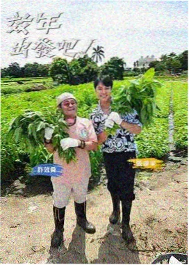 极限挑战